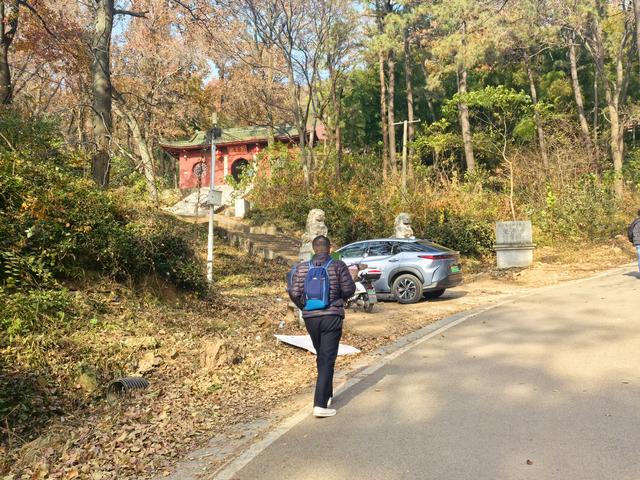 南京老山郊野一日徒步，从狮子岭兜率寺到汤泉惠济寺