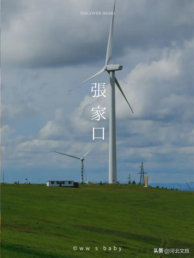 这么近，那么美，河北文旅到底有什么？