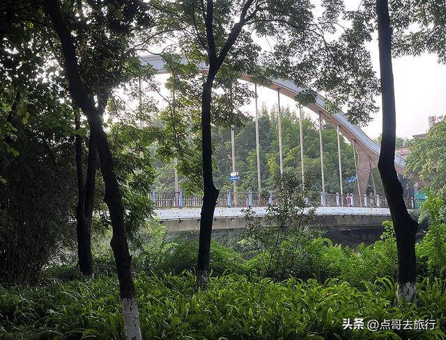 成都市区意外之地，去年被称为天然空调，今年仍然清幽，不要门票