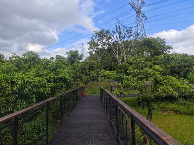 西丽湖绿道，慢慢骑慢慢地欣赏。