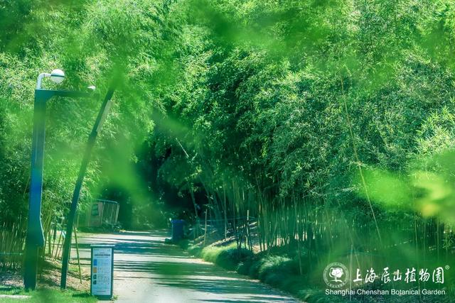 周五宠粉日|运动赏景两不误!这份公园运动指南请查收,更有辰山植物园门票等你免费领