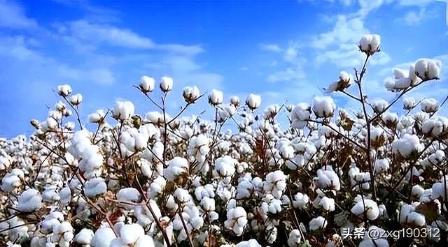 果然没让人失望！27国投票制裁中国，一国抵挡压力，坚定支持中国 第7张