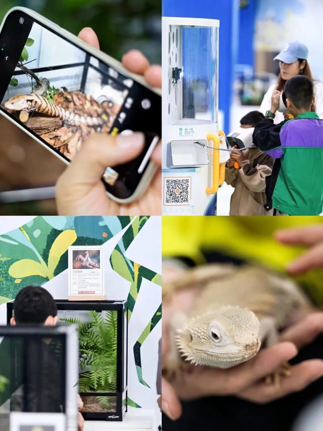 现在就出发！会玩儿的深圳人，已经安排上了……