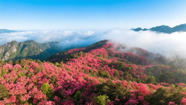 4-6月适合去的6个目的地，春夏光景佳，人少气候爽