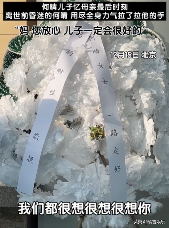 儿子哽咽向何晴承诺会好好生活