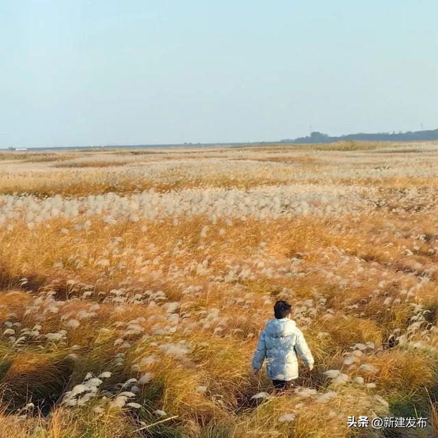 江西的秋，慢慢把山河写成诗