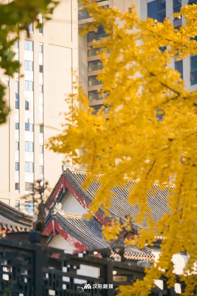 限时绝美！汉阳全城颜值巅峰，零换乘直达