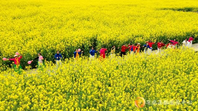 “我在开花，她们在笑” 这就是习水最棒的春天