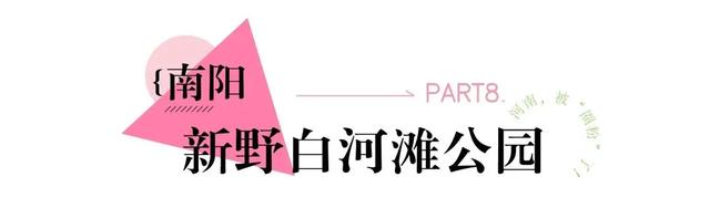 河南境内最值得去的粉黛观赏地，第一个就心动了