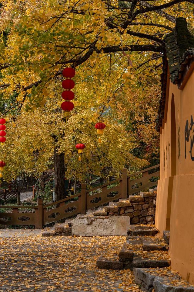 高铁直达！11月必去的6个宝藏小城，物价低又好玩，适合小住几天