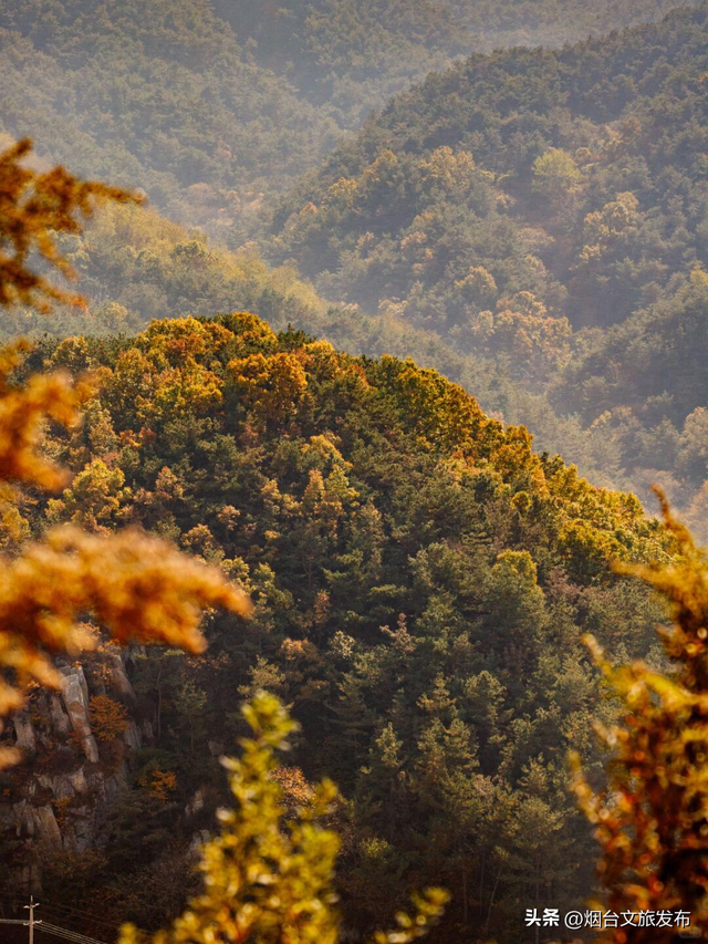 【乐游烟台】梦中出现的赏秋公路！烟台自驾必去