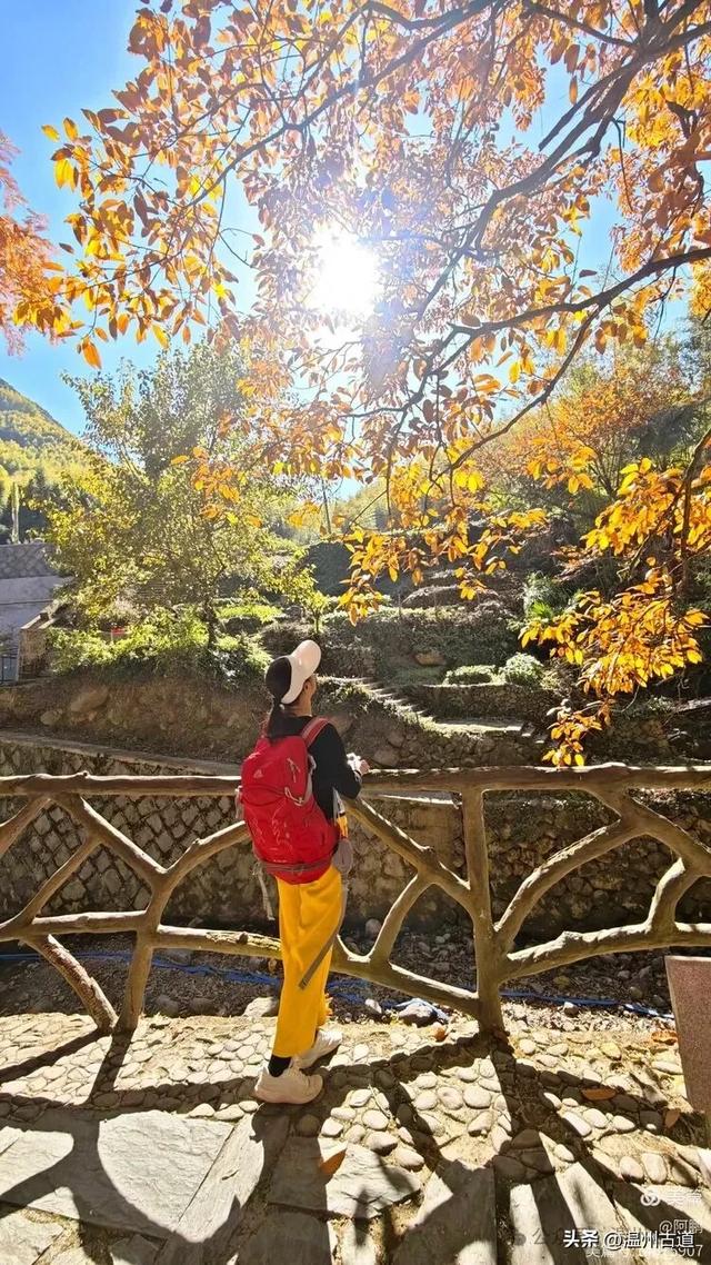 踏秋胜地，天脊龙门！浙江这个4A级景区已美成童话，等你来打卡