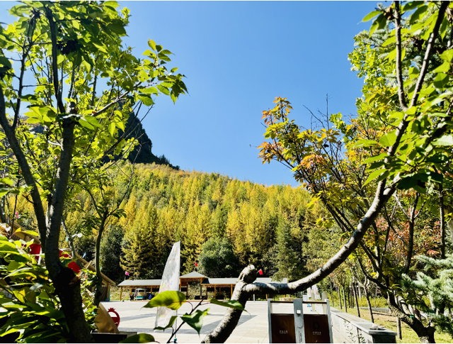 这么好看，不愧是遮阳山的秋天！