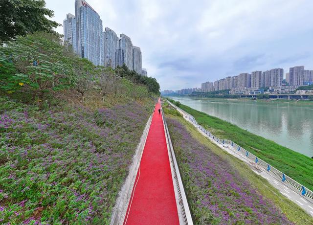 重庆“两江四岸”地图上新！4处打卡地可散步、遛娃