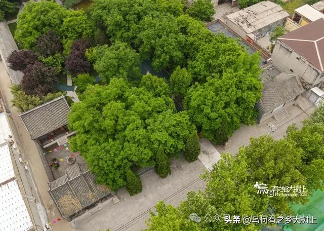 石家庄高邑县,是明末东林党领袖赵南星故乡,现存赵氏家祠