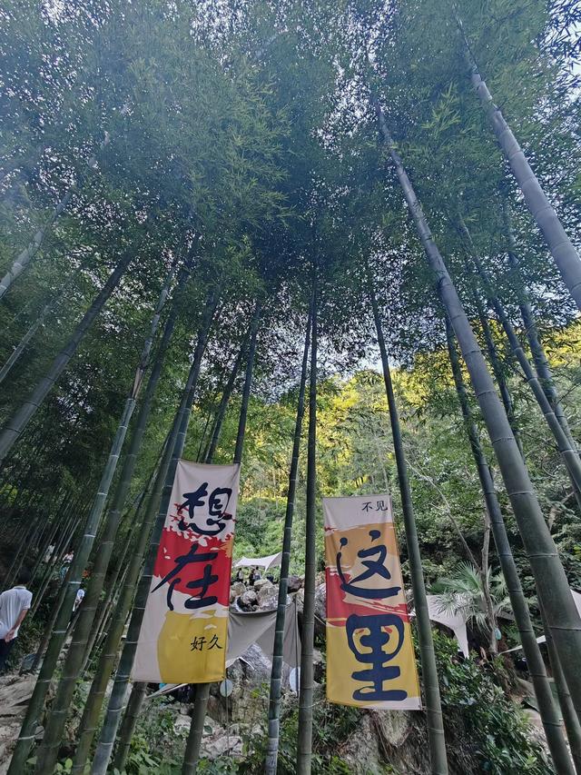 如果长沙太热，周末就去趟沩山吧！
