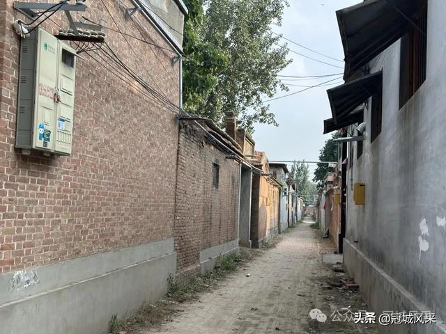 冠县乡韵·辛集镇丁刘八寨