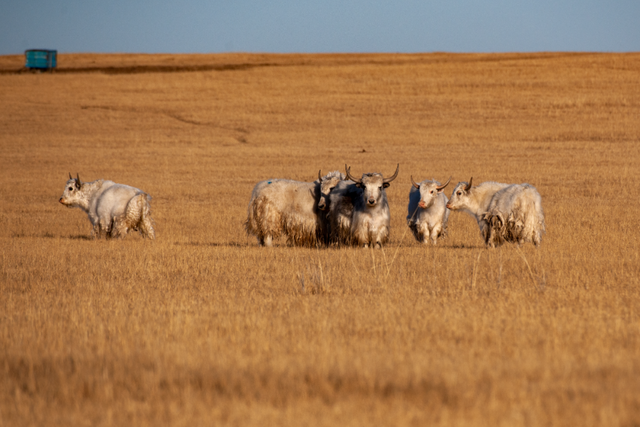 把治愈系风景装进相册里吧！