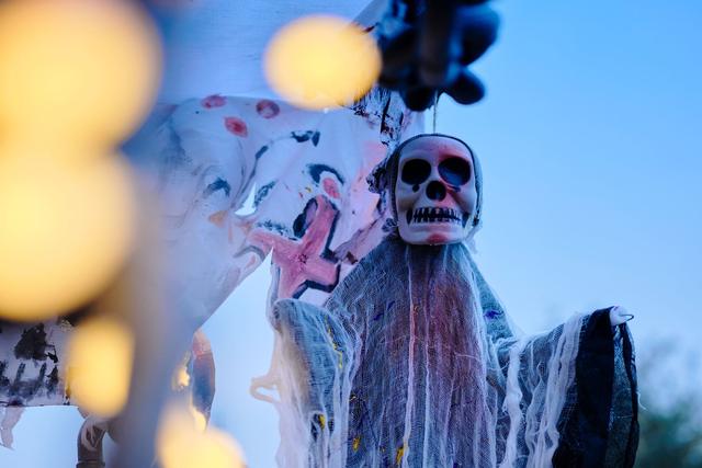 天津光合谷度假区，从萌宠互动到魔幻世界，京津冀亲子游新地标