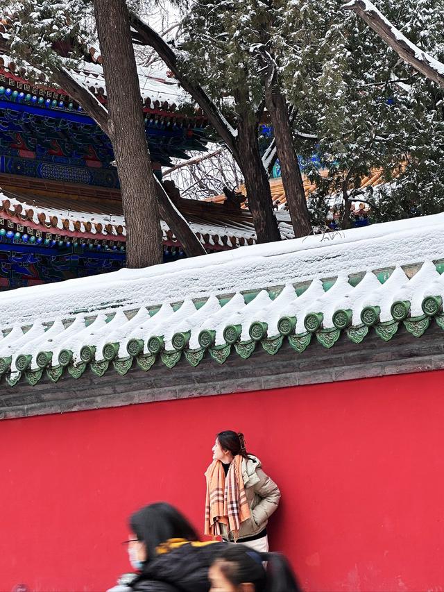 北京初雪 “稳了”！没想到：故宫本周六门票，秒光！