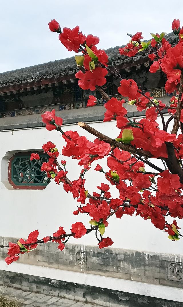 北京大观园“梅花”提早绽放 古风新春景致惊艳亮相