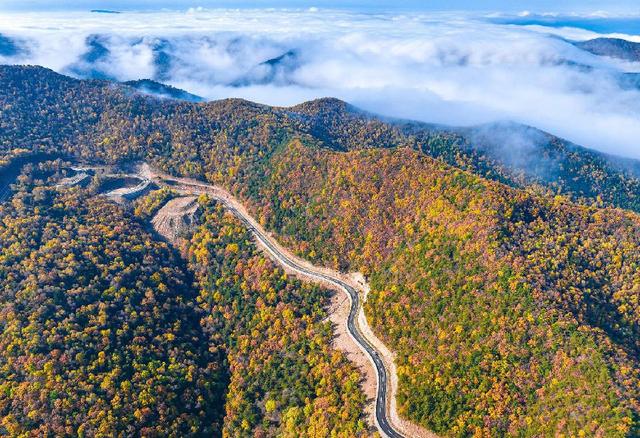 美到窒息！太行一号旅游公路铺开秋日油画长卷