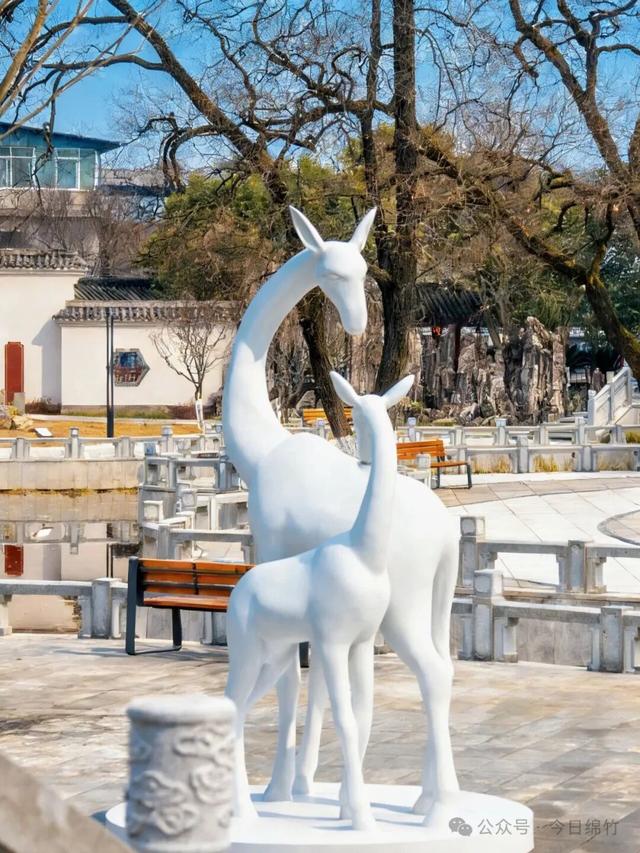 即将开园！绵竹人民公园内部美景提前曝光……