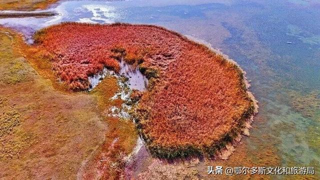 美到失语！秋天的七星湖，是上帝打翻的调色盘