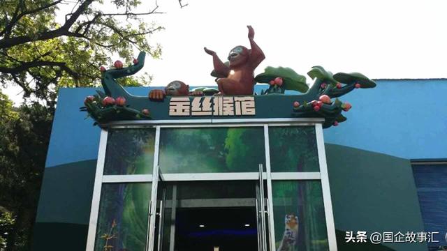 辽东半岛游记第六天，大连森林动物园