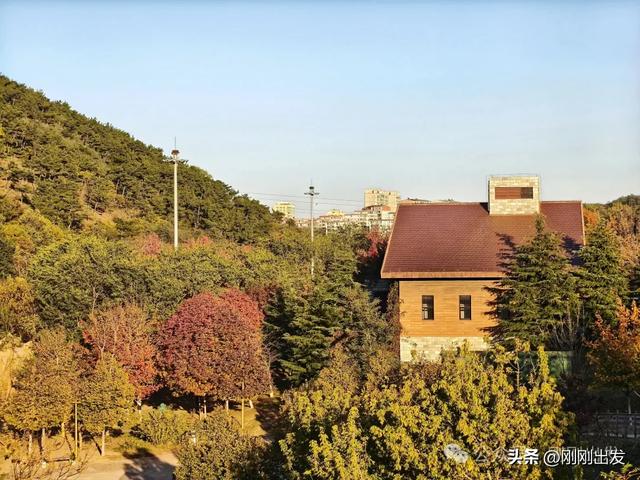 公交直达,大连这个免费公园枫叶正当时,赏秋好地方