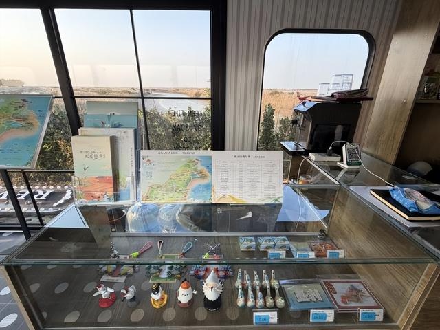 黄河入海 大美垦利 | 东营垦利观鸟贴心攻略