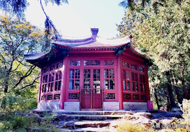 以我4次经历，带你打卡北京香山，北京的朋友请补充