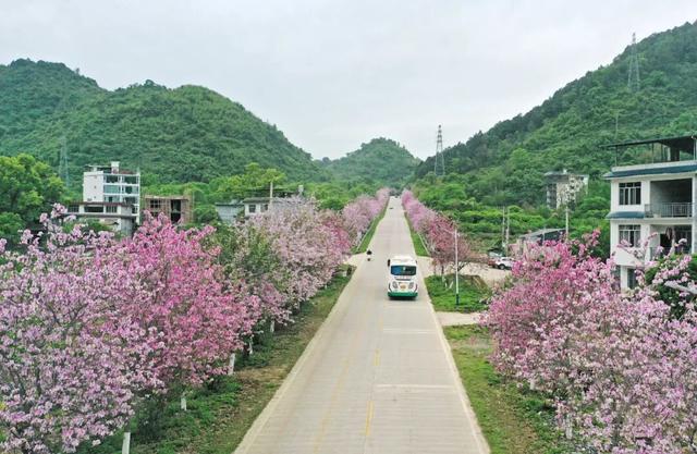 微视点 | 阳朔：“三化”赋能山水秀 生态变现百姓富