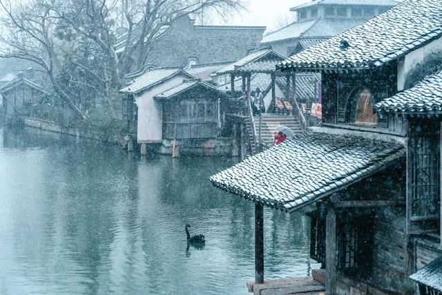 雪后乌镇的含金量还在上升