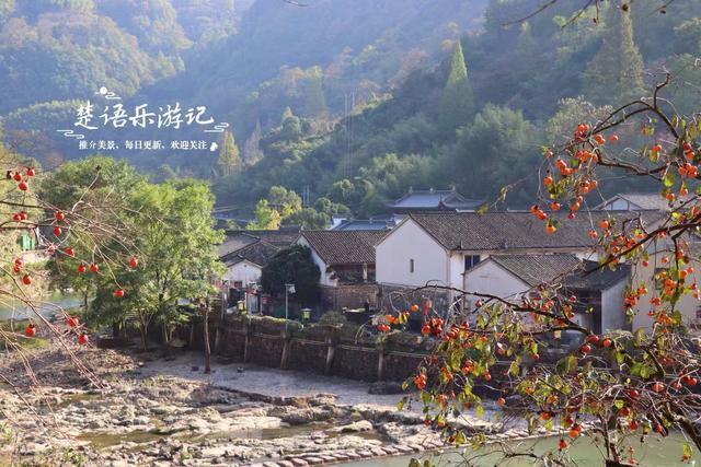 浙江宁波的又一个柿林山村，免费开放但是景色很美，游玩正当时