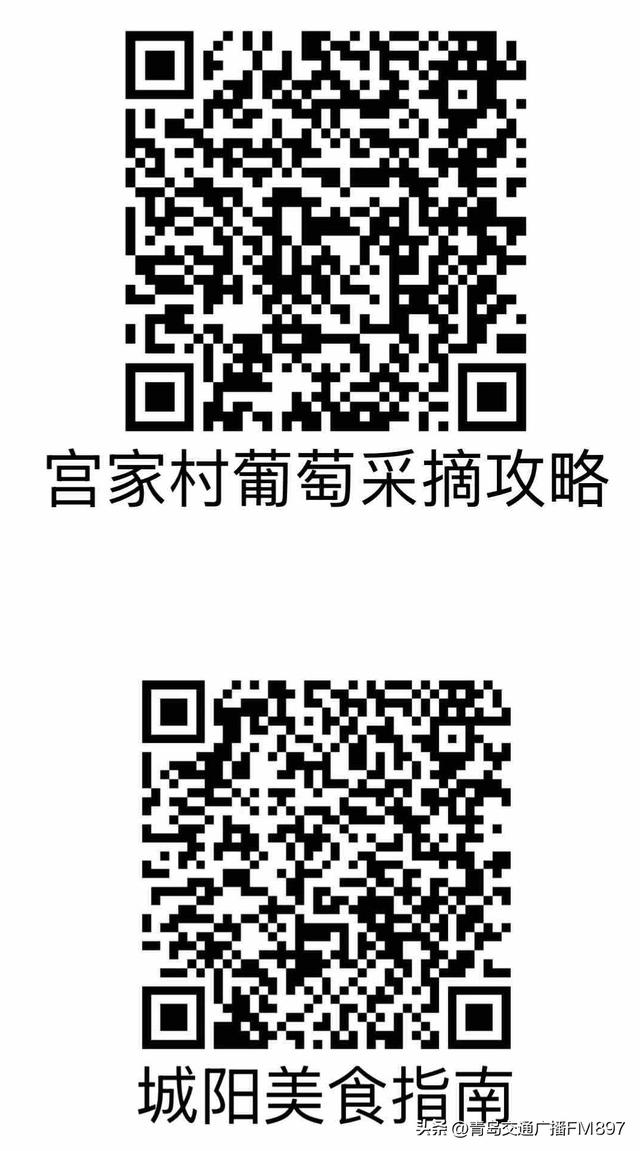 本周末两场大型音乐活动在青岛举办！乐迷专属攻略来了→