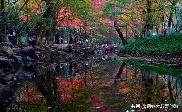 杭州“调色盘景点”爆火了，人从众不说，还藏着天花板枫景线！