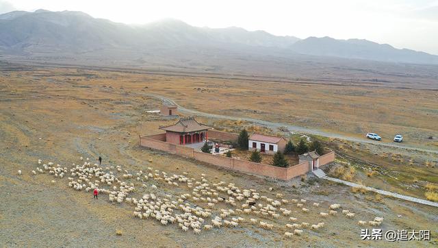 初冬，古城迎来西行客