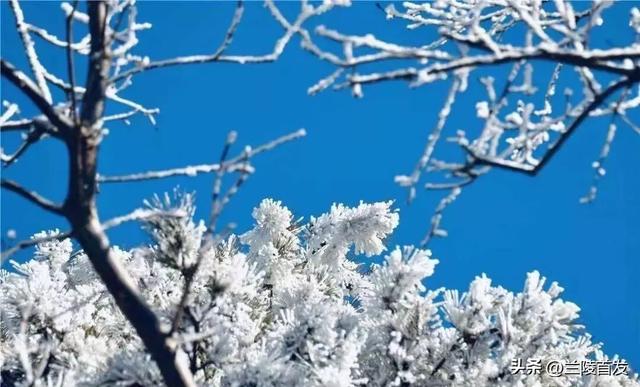 好客山东好品山东｜初雪来了！山东变山“冬”