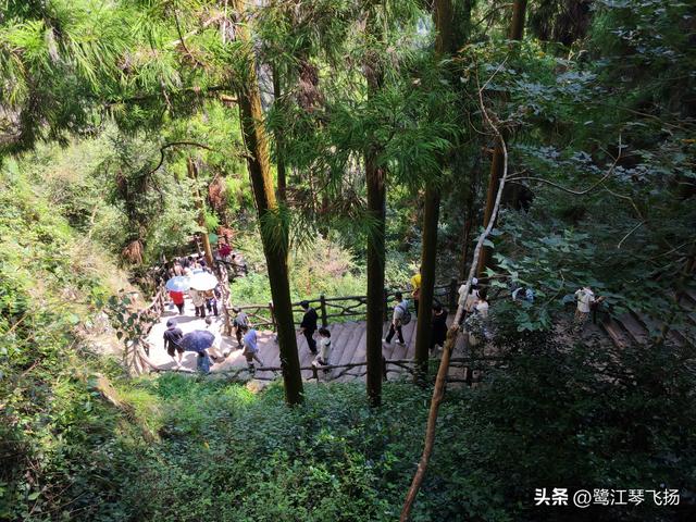 2025国庆第二天游：温州百丈漈