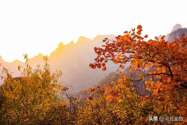 秋日必冲的保定“天然氧吧”出炉，每个都是国家级秘境