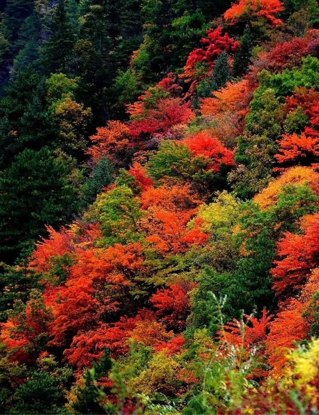 千里相约，山水相逢！黑水文旅亮相上海！这场推介太圈粉了→