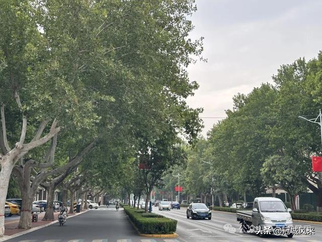 冠县印记·兴贸路