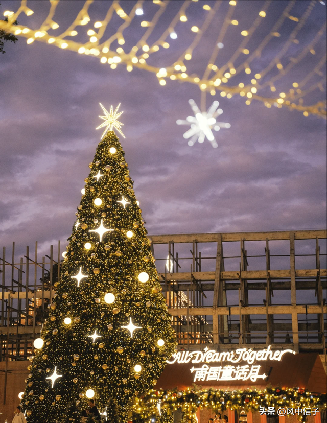 广州阿那亚：圣诞季的暖阳与星光都刚刚好