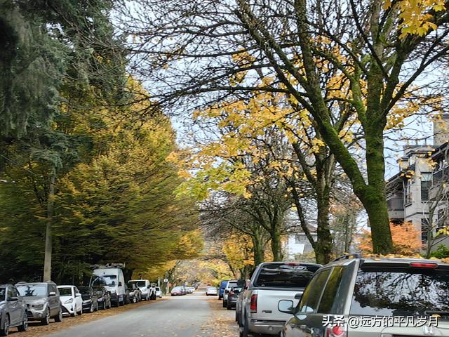 温哥华游记（五）