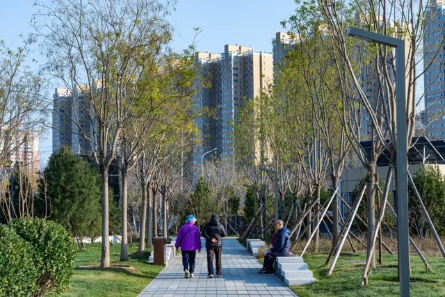 完全开放!石景山新添一个免费公园→