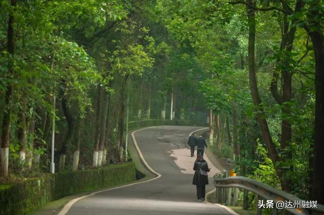 Run渠县，每一步都“热辣滚烫”