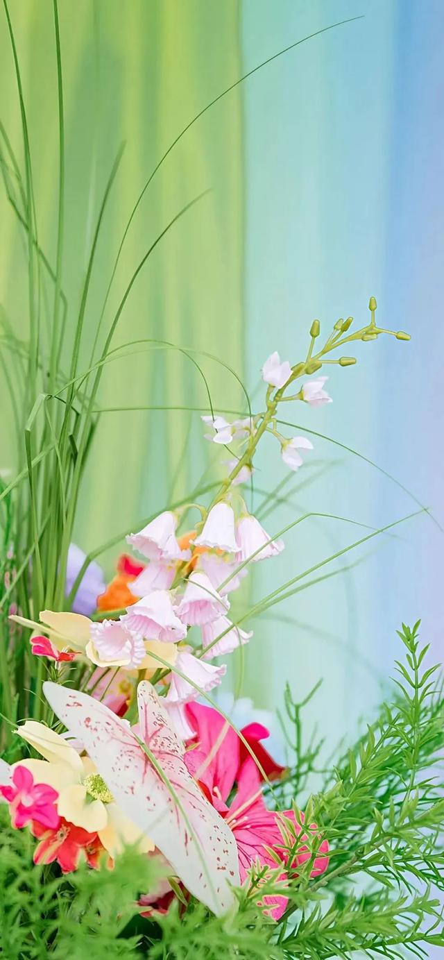 【治愈壁纸】绿色绝美壁纸，养眼