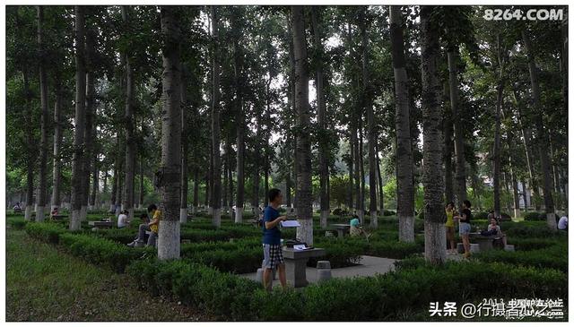 山东行游影记（16）—济南山东大学（三）
