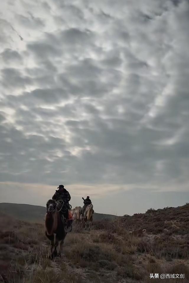 特稿｜驼铃声声传古韵 丝路古城燃篝火 张耀宇/文 焦庆祖/图